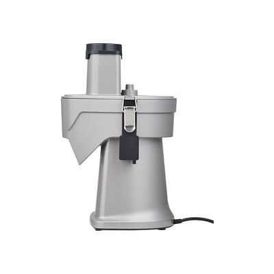 Commercial Stainless Steel Automatic Electric Onion Potato Lemon Mango Coconut Chips Fruit and Vegetables Cutting Machine Slicer