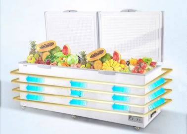 大きい容量の深い箱のフリーザーの両開きドアの冷凍庫の速いフリーザーの箱850リットル